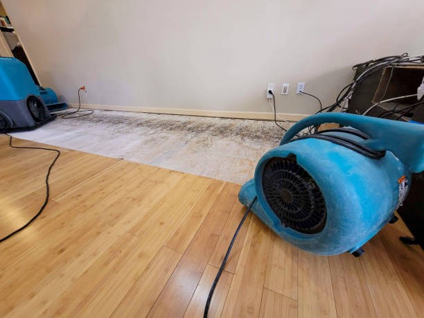 Professional Water Extraction technician working in Canyon, CA